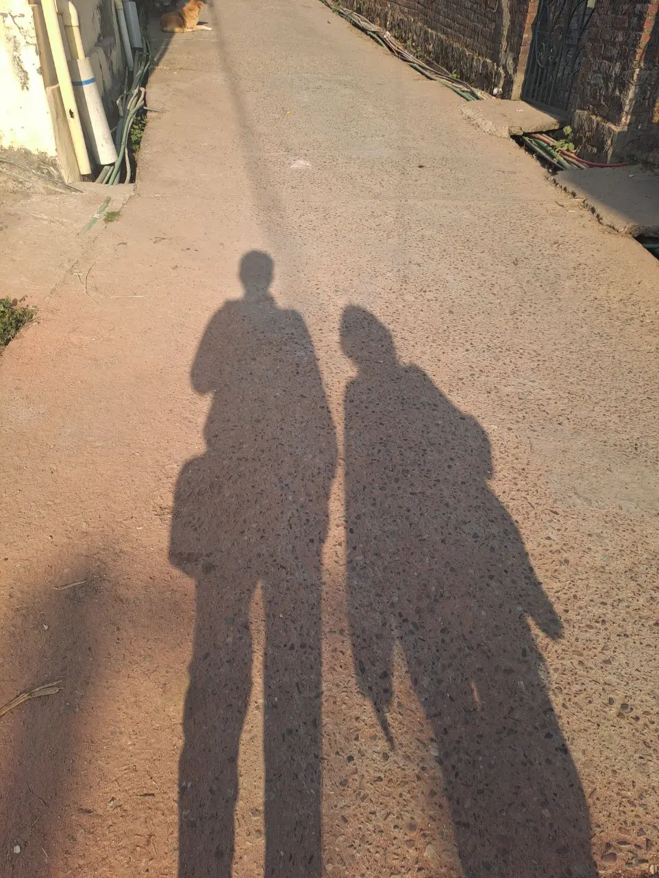 travel with art desiblueprint aleen bharati page, aleen with his friend